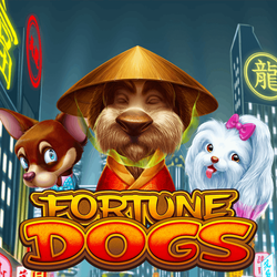 Fortune Dogs